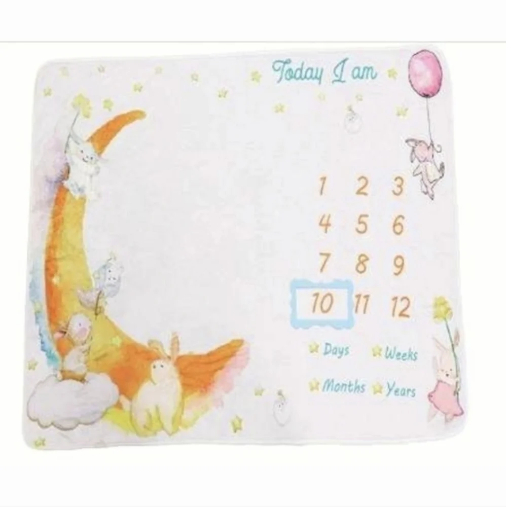 Baby Milestone Blanket (NWOT)